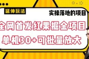 全网首发红果免费短剧掘金项目，单机30+可批量放大【揭秘】