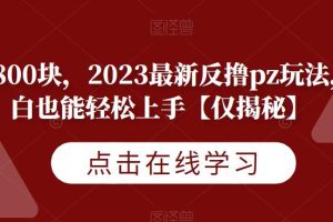 一天800块，2023最新反撸pz玩法，小白也能轻松上手【仅揭秘】