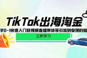 TikTok出海淘金，新手0-1快速入门短视频直播带货等引流到变现的知识