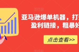 亚马逊爆单机器，打造巨额盈利链接，粗暴好用