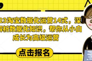 （6475期）2023淘宝数据化-运营 14式，深度解析数据化知识，帮你从小白成长为高级运营