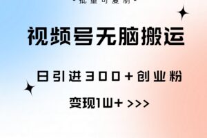 （10612期）视频号无脑搬运日引300+创业粉，变现1W+可批量复制