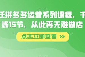 纪主任拼多多运营系列课程，千锤百炼15节，从此再无难做店