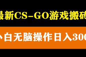 （5760期）最新csgo游戏搬砖游戏，无需挂机小白无脑也能日入300+