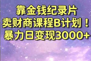 （8944期）靠金钱纪录片卖财商课程B计划！暴力日变现3000+，喂饭式干货教程！