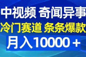 （9627期）中视频奇闻异事，冷门赛道条条爆款，月入10000＋