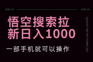 （12717期）悟空搜索类拉新 蓝海项目 一部手机就可以操作 教程非常详细