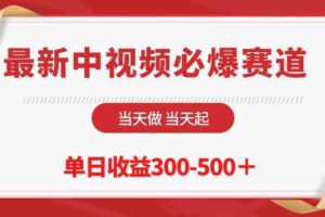 （10105期）最新中视频必爆赛道，当天做当天起，单日收益300-500＋！