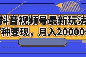 抖音视频号最新玩法，7种变现，月入20000+