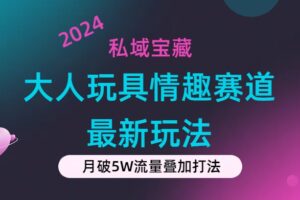 （11541期）私域宝藏：大人玩具情趣赛道合规新玩法，零投入，私域超高流量成单率高