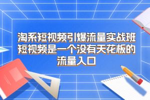 （6956期）淘系短视频引爆流量实战班，短视频是一个没有天花板的流量入口