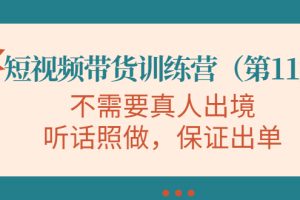 （4015期）短视频带货训练营（第11期），不需要真人出境，听话照做，保证出单