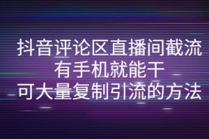 （4074期）抖音评论区直播间截流，有手机就能干，可大量复制引流的方法