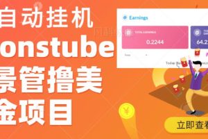 外面收费几千上万的visionstube愿景管撸美金项目，单日收益30-50美金+工作室可批量多开搞