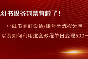 （8441期）小红书设备及账号解封全流程分享，亲测有效，以及如何利用教程变现