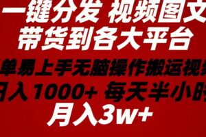 （10667期）2024年 一键分发带货图文视频  简单易上手 无脑赚收益 每天半小时日入1…