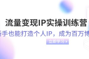 （8134期）流量变现-IP实操训练营：新手也能打造个人IP，成为百万 博主（46节课）