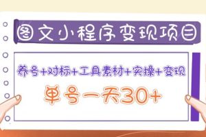 （3875期）图文案小程序变现项目：养号+对标+工具素材+实操+变现，单号一天30+