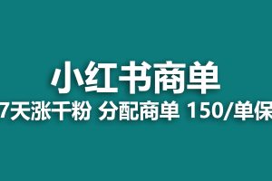 (6615期)2023最强蓝海项目，小红书商单项目，没有之一！