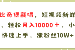 （11941期）AI比奇堡翻唱歌曲，短视频新鲜赛道，轻松月入10000＋，小白快速上手，…