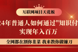 2024年普通人如何通过"知识付费"月入十万年入百万，实现财富自由