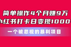 （11048期）简单操作4个月赚9万！小红书打卡日变现1000+！一个被忽视的暴力项目