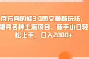 反方向的蛙3.0图文最新玩法，隐身各种主流项目，新手小白轻松上手，日入2000+【揭秘】