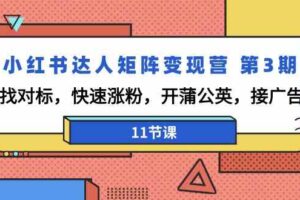 （9203期）小红书达人矩阵变现营 第3期，找对标，快速涨粉，开蒲公英，接广告-11节课