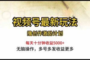 （10087期）视频号最新玩法，每日一小时月入5000+