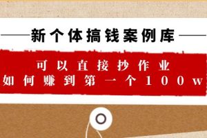 （6363期）新个体 搞钱案例 库，可以直接抄作业 如何赚到第一个100w（29节视频+文档）