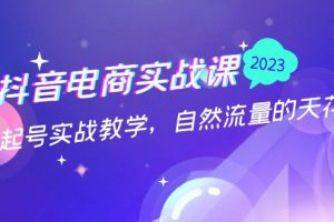 （5055期）抖音电商实战课：0粉起号实战教学，自然流量的天花板（2月19最新）