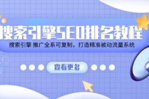 （11351期）搜索引擎SEO排名教程「搜索引擎 推广全系可复制，打造精准被动流量系统」