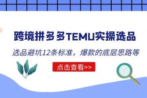 （5402期）跨境拼多多TEMU实操选品运营方法，选品避坑12条标准，爆款的底层思路等