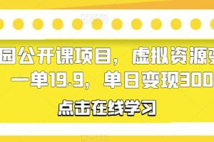 幼儿园公开课项目，虚拟资源变现，一单19.9，单日变现300