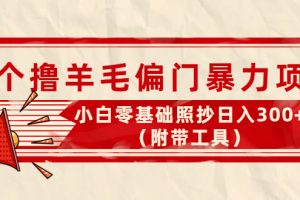 （4110期）外面卖998的三个撸羊毛偏门暴力项目，小白零基础照抄日入300+（附带工具）