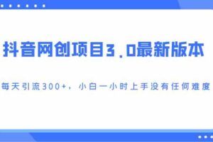 抖音网创项目3.0最新版本，每天引流300+，小白一小时上手没有任何难度