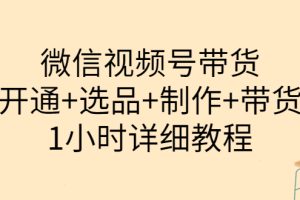 （3515期）陈奶爸·微信视频号带货：开通+选品+制作+带货（1小时详细教程）