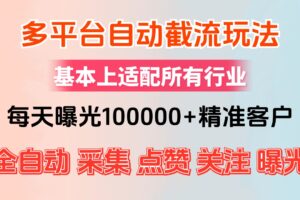 （12709期）小红书抖音视频号最新截流获客系统，全自动引流精准客户【日曝光10000+…