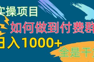 （10303期）[实操项目]付费群赛道，日入1000+