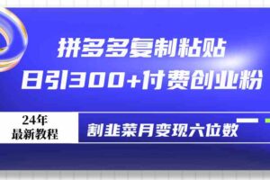 （9129期）拼多多复制粘贴日引300+付费创业粉，割韭菜月变现六位数最新教程！