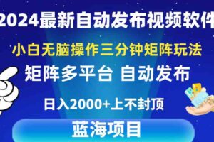 （10166期）2024最新视频矩阵玩法，小白无脑操作，轻松操作，3分钟一个视频，日入2k+