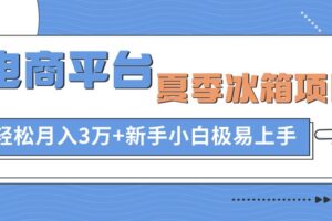 （10934期）电商平台夏季冰箱项目，轻松月入3万+，新手小白极易上手