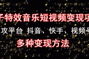 （4586期）《粒子特效音乐短视频变现项目》主攻平台 抖音、快手、视频号 多种变现方法