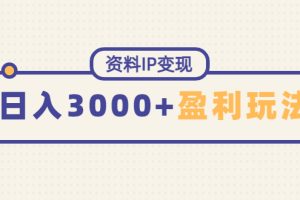 （4576期）资料IP变现，能稳定日赚3000起的持续性盈利玩法