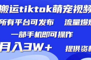 （9618期）搬运Tiktok萌宠类视频，一部手机即可。所有短视频平台均可操作，月入3W+