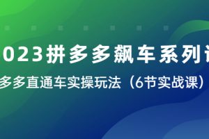 （6030期）2023拼多多飙车系列课，多多直通车实操玩法（6节实战课）