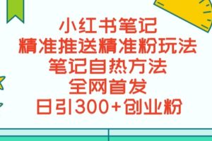 最新小红书笔记精准推送2000+精准粉，单日导流私欲最少300【脚本+教程】