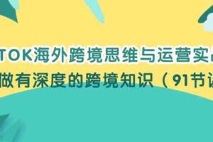 TIKTOK海外跨境思维与运营实战课，只做有深度的跨境知识（91节课）