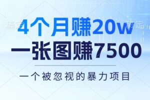 （10765期）4个月赚20万！一张图赚7500！多种变现方式，一个被忽视的暴力项目