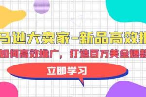 （9945期）亚马逊 大卖家-新品高效推广，分享如何高效推广，打造百万美金爆款单品